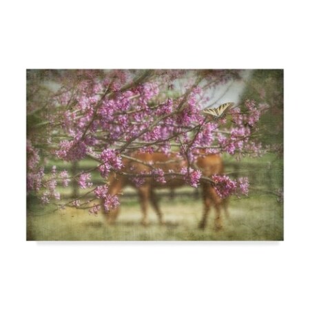 Phburchett 'Spring Has Sprung' Canvas Art,16x24